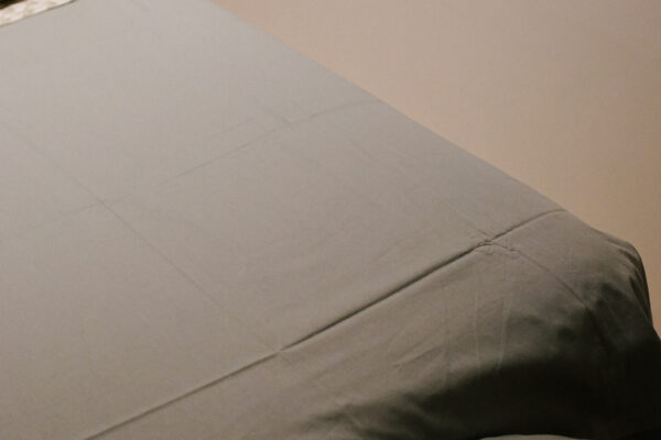 Resting Koala Batu Belig-71